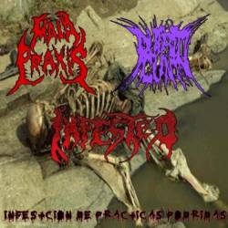 Infested (MEX) : Infestacion de Prácticas Podridas